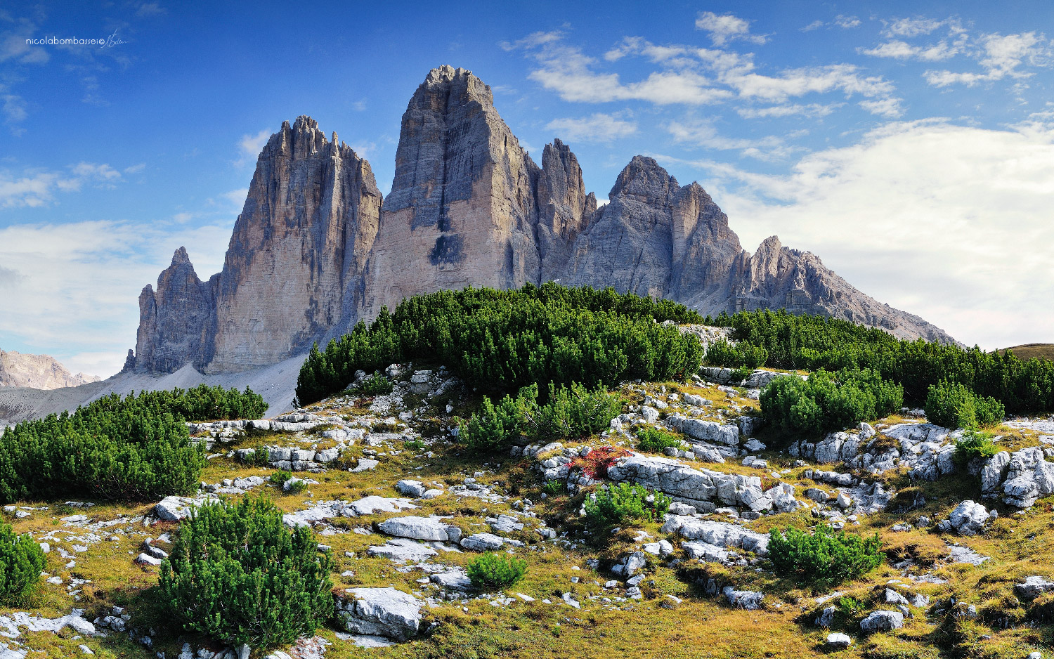 titolo immagine